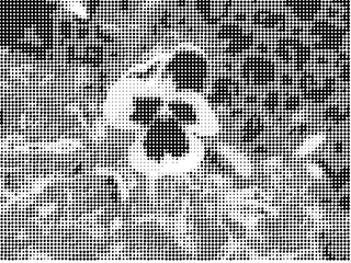 tenga_1.png